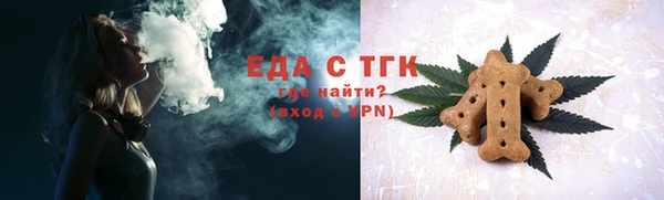 индика Россошь