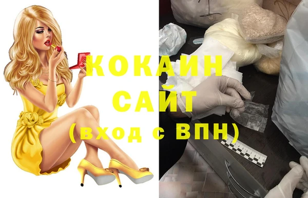индика Россошь