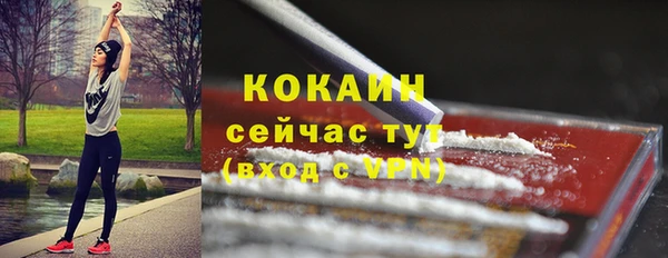 индика Россошь